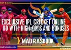 Cricket Online Betting ID: Everything You Need to Know Before You Start