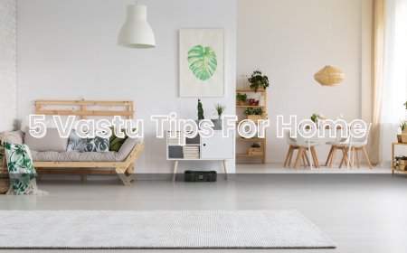 Vastu Remedies to Overcome Daily Life Struggles | Samanvay Vastu