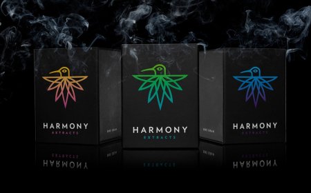 How Can You Customize Cannabis Boxes for Different Strains and Products?