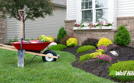 Discover the Power of Professional Landscaping in Manassas, VA