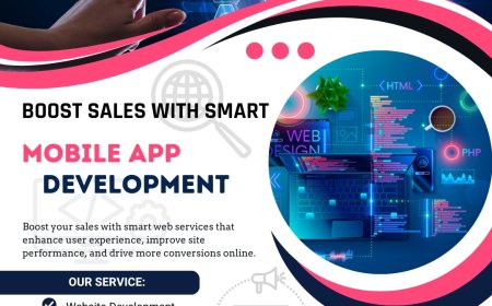 Hire Professional Web Designers for Your Business