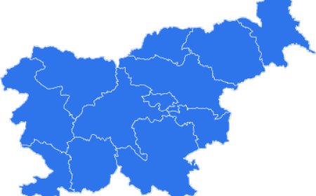 Explore 2025 Slovenia Import Data for Smarter Trade Decisions