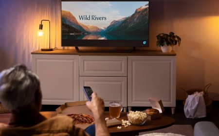 TV Mounting Home Theater Installation Experts Near You