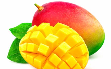 How to Store and Preserve the Best Pakistani Mangoes Bought Online