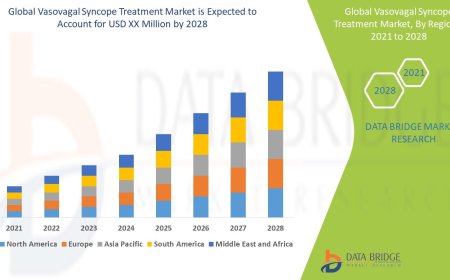 Vasovagal Syncope Treatment Market : Insights, Key Players, and Growth Analysis 2025 –2032