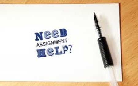 Who Can Help Me with My Assignments?