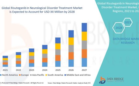Risuteganib in Neurological Disorder Treatment Market to account to grow at a CAGR of 4.80%