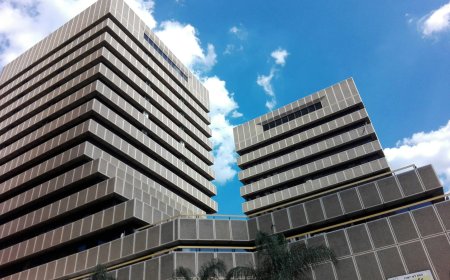 JetBlue Head Office – Behind the Scenes of a Customer-Centric Airline