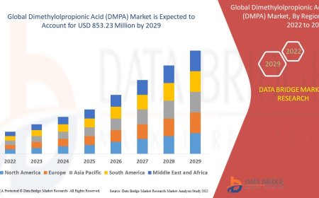 Dimethylolpropionic Acid (DMPA) Market Opportunities and Forecast By 2029