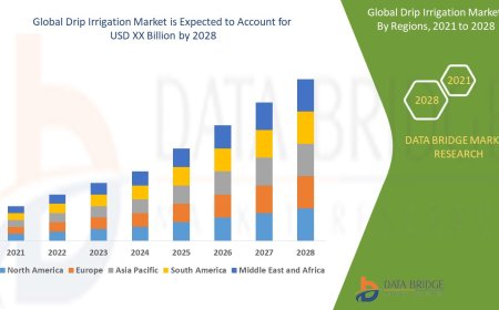Drip Irrigation Market Demand, Opportunities and Forecast By 2029