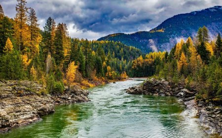 Rajasthan Trip from Bengaluru |Tripspray