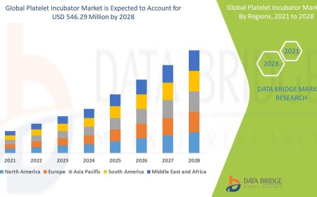 Platelet Incubator Market Opportunities and Forecast By 2028