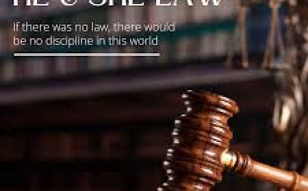 Which is the Best Online Legal Consultation?