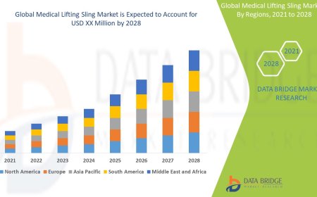 Medical Lifting Sling Market Size, Share, Trends and Forecast by 2028