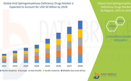 Acid Sphingomyelinase Deficiency Drugs Market Opportunities and Forecast By 2028