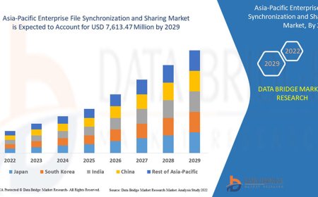 Asia-Pacific Enterprise File Synchronization and Sharing Market Overview, Growth Analysis, Trends and Forecast By 2029