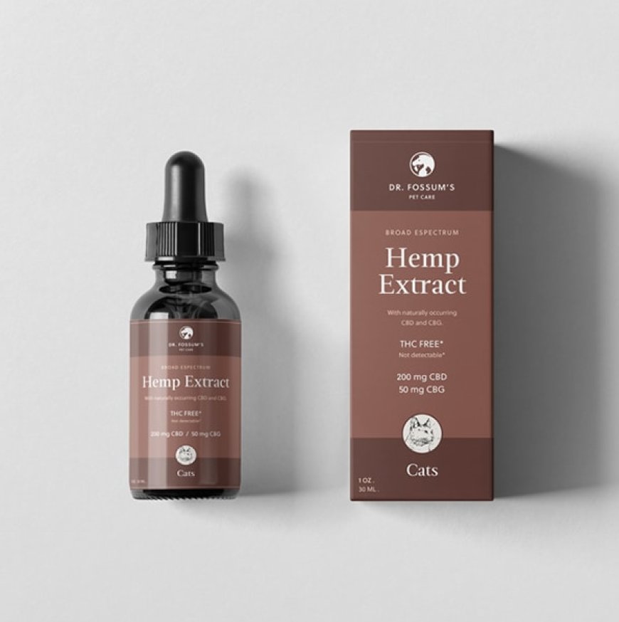 Calm & Comfort Your Feline with Cat Hemp – IV San Bernard USA