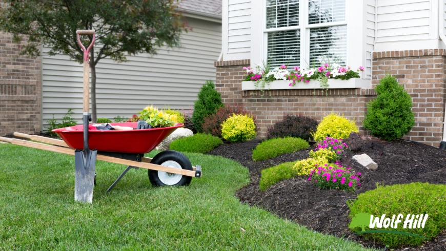 Discover the Power of Professional Landscaping in Manassas, VA