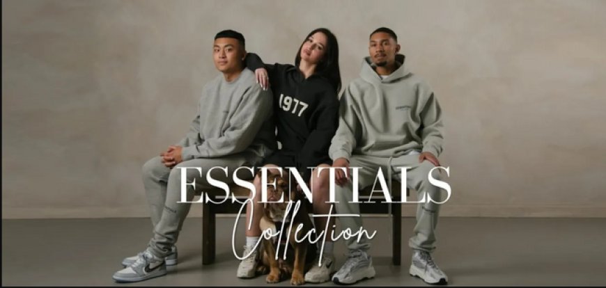 Essential Hoodie for All Ages: Timeless Fashion for Everyone