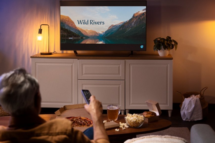 TV Mounting Home Theater Installation Experts Near You