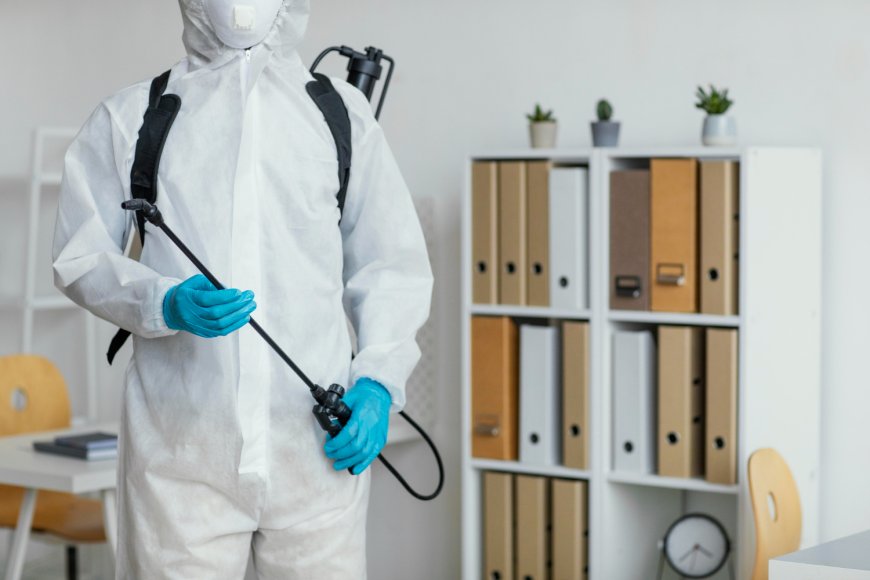 Local Exterminators Near Me Pest Control Services in Gainesville