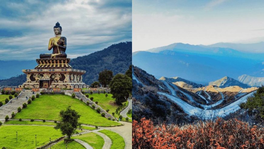 Echoes of the Himalayas: A Darjeeling Story