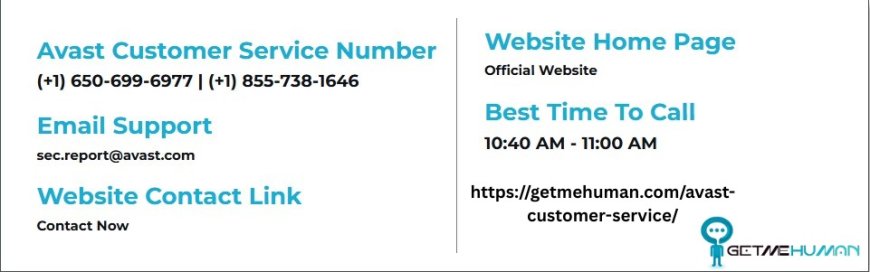 Avast Customer Service: Why Users Feel Heard and Supported