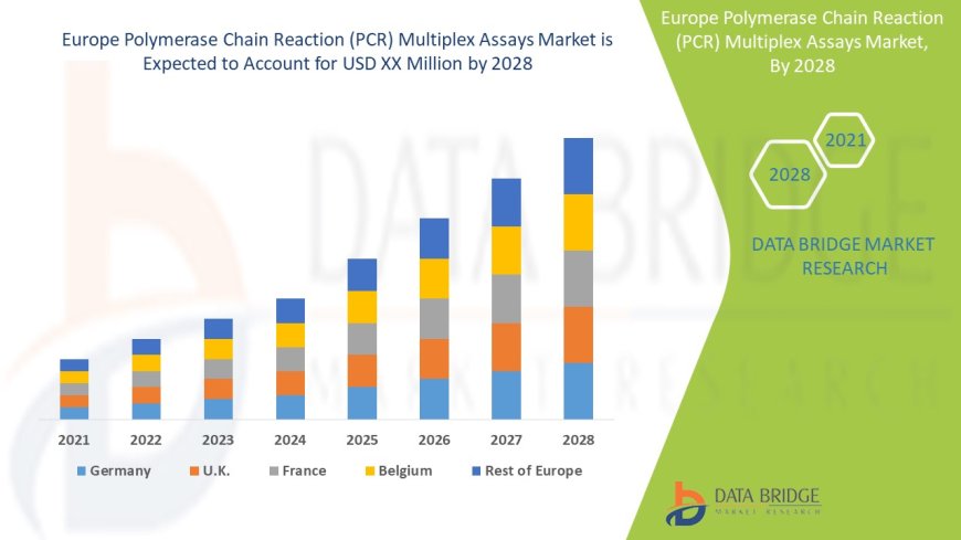Europe Polymerase Chain Reaction (PCR) Multiplex Assays Market Graph: Growth, Share, Value, Size, and Insights