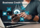Decoding Business Credit: Reports, Ratings, and What They Mean for Your Company