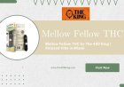 Feel the Flow with Mellow Fellow THC – Premium Vapes by The 420 King
