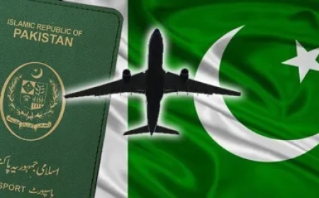 Dubai Visit Visa From Pakistan: Step-By-Step Application Process