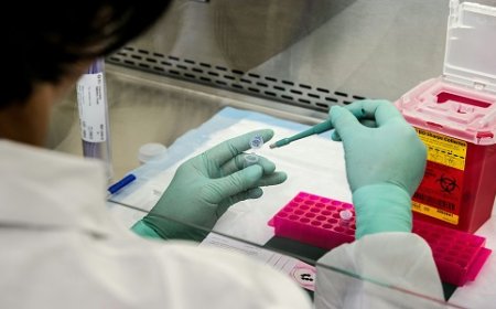 CD Bioglyco Unveils GlycoCLICK Solutions: A Powerful Platform for Streamlined Antibody Glycoengineering and Conjugation