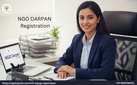 Importance and Process of NGO DARPAN Registration in India