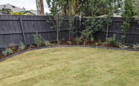 Transform Your Outdoor Space with Ascot Vale Experts