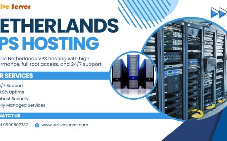 Maximize Performance & Privacy: Netherlands VPS Hosting by Onlive Server