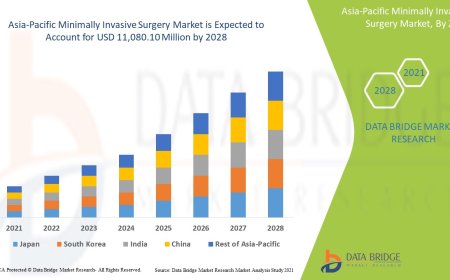Asia-Pacific Minimally Invasive Market Value with Status and Analysis 2028