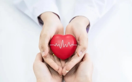 Understanding Men’s Heart Health Risks and Prevention