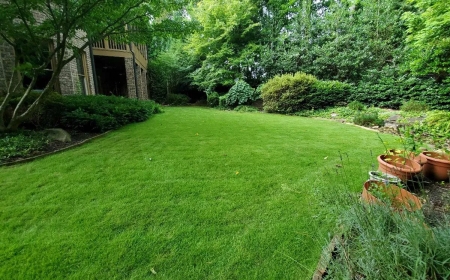 Get a Lush Lawn Fast: Best Sod Installers Near You