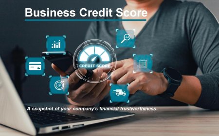 Decoding Business Credit: Reports, Ratings, and What They Mean for Your Company
