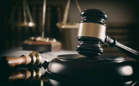 Advokat eller Jurist: Vad Är Skillnaden och Vem Ska Du Välja?