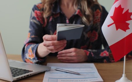 The Ultimate Guide to Choosing the Best Education Consultant in Canada