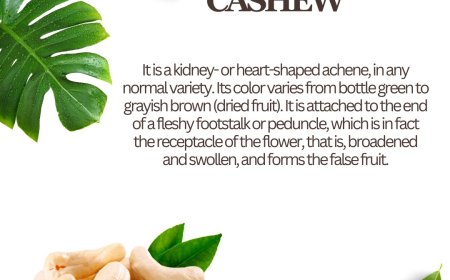 Can Cashews Lower Blood Sugar: What Every Diabetic Should Know