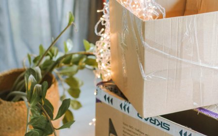 Don’t Lift a Finger—Let House Removalists Do the Heavy Work