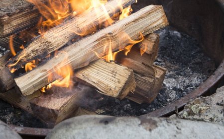 Björkved Pris 2024 – Så Mycket Kostar Det att Köpa Kvalitetsved med Hemleverans i Stockholm