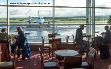 What to Expect at the French Bee Newark Terminal: Travel Tips for Flyers