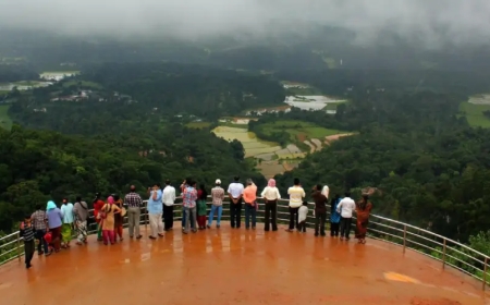 Bangalore Mysore Ooty Coorg trip: Ooty's Misty Hill Station Charms