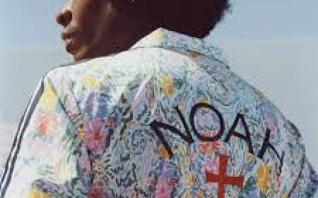 How Did Noah NYS Become Popular