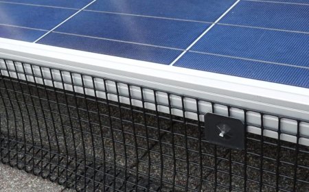 Protect Your Panels: Why Solar Panel Bird Mesh Installation Matters
