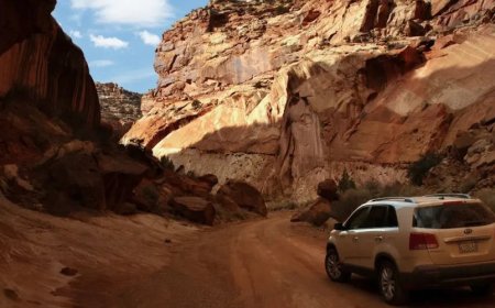 How Utah’s Minimum Auto Insurance Requirements Compare to Other States