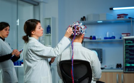 Understanding the Role of a Neurologist in Tampa, FL